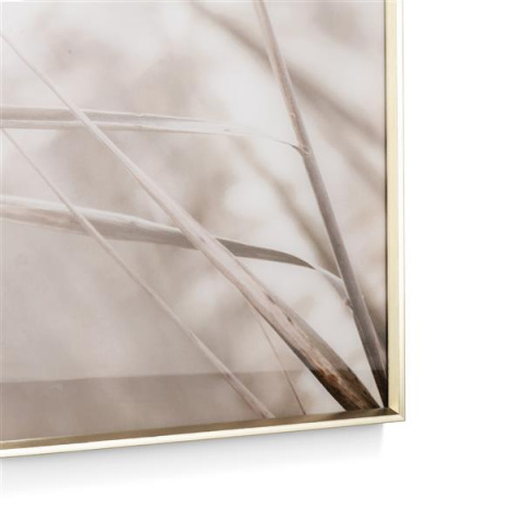 COCO MAISON Obraz szklany breeze 70x100cm COCO MAISON Obraz szklany breeze 70x100cm