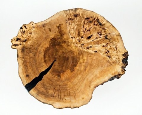 Stolik Kawowy Live Edge z Plastra Czeczota Topoli [Nr 12], Wymiary 102x83 cm, Grubość 9 cm, Nogi Metalowe Czarne