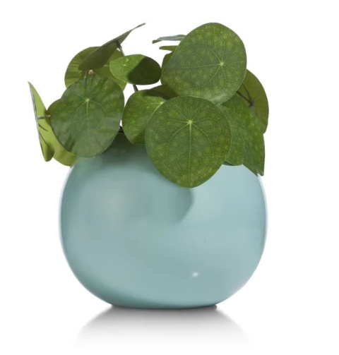 COCOmaison Wazon Plano wys. 16 cm COCOmaison Wazon Plano wys. 16 cm